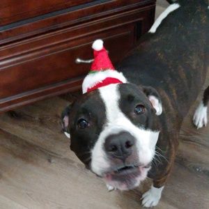 Meet your Posher, Sandy